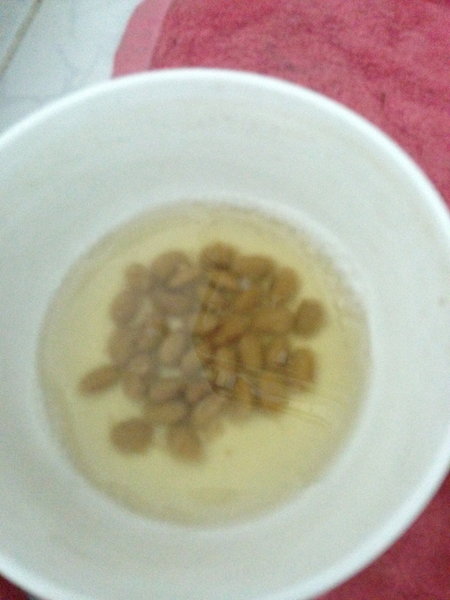 納豆菌のもと
