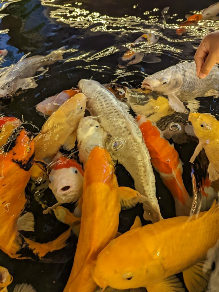 Coffee KOI Tri Nguyen
