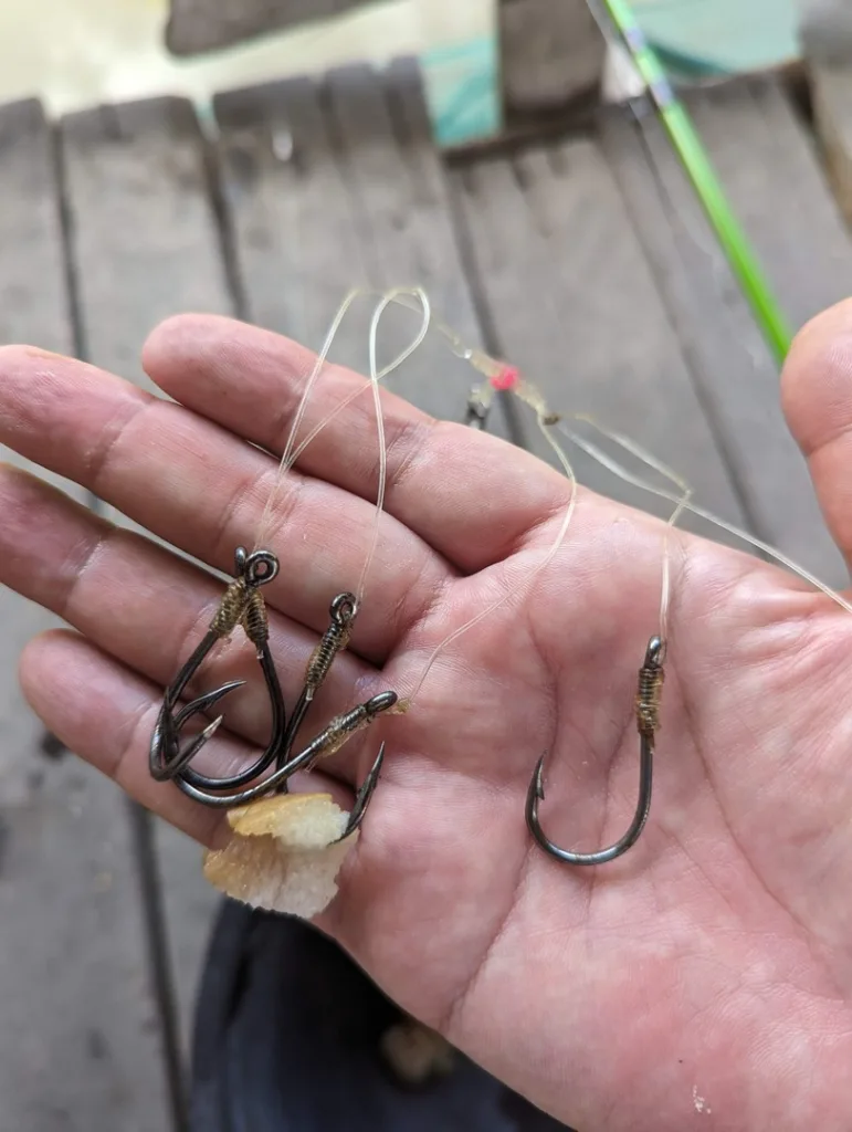 そこそこの大きさの魚が釣りたい『Hồ câu cá giải trí Vườn Dừa』